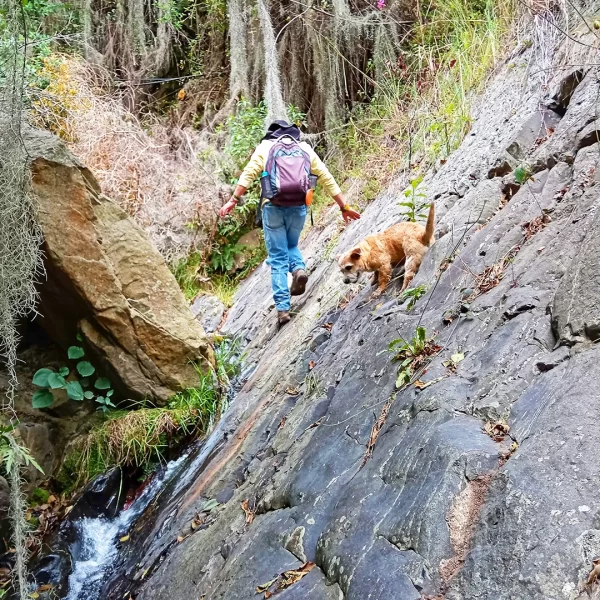 Caminata Estoraques Samacá - Tulia Turismo de Aventura en Boyacá