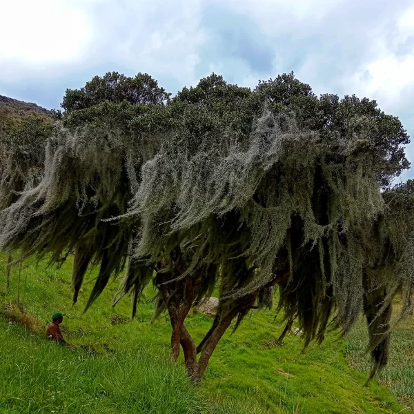 Caminata Estoraques Samacá - Tulia Turismo de Aventura en Boyacá