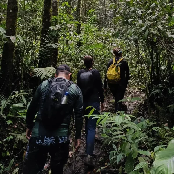 Trekking Ventanas de Tisquizoque + Ruta Gemelas y Cerro Venados, Florian, Santader - TULIA Turismo de Aventura en Boyaca