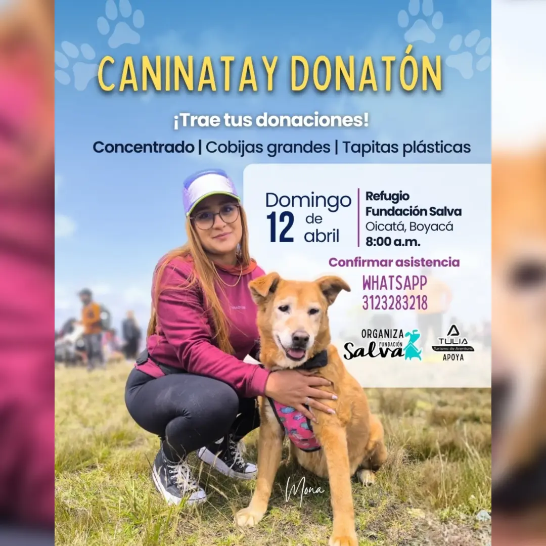 Caninata perritos Fundación SALVA - Apoya TULIA Adventures - Turimos de Aventura en Boyacá Caninata perritos Fundación SALVA - Apoya TULIA Adventures - Turimos de Aventura en Boyacá